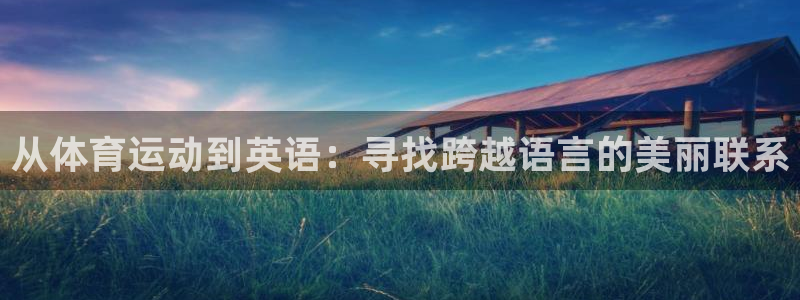 一竞技官网下载是干嘛的公司:从体育运动到英语:寻找跨越语言的
